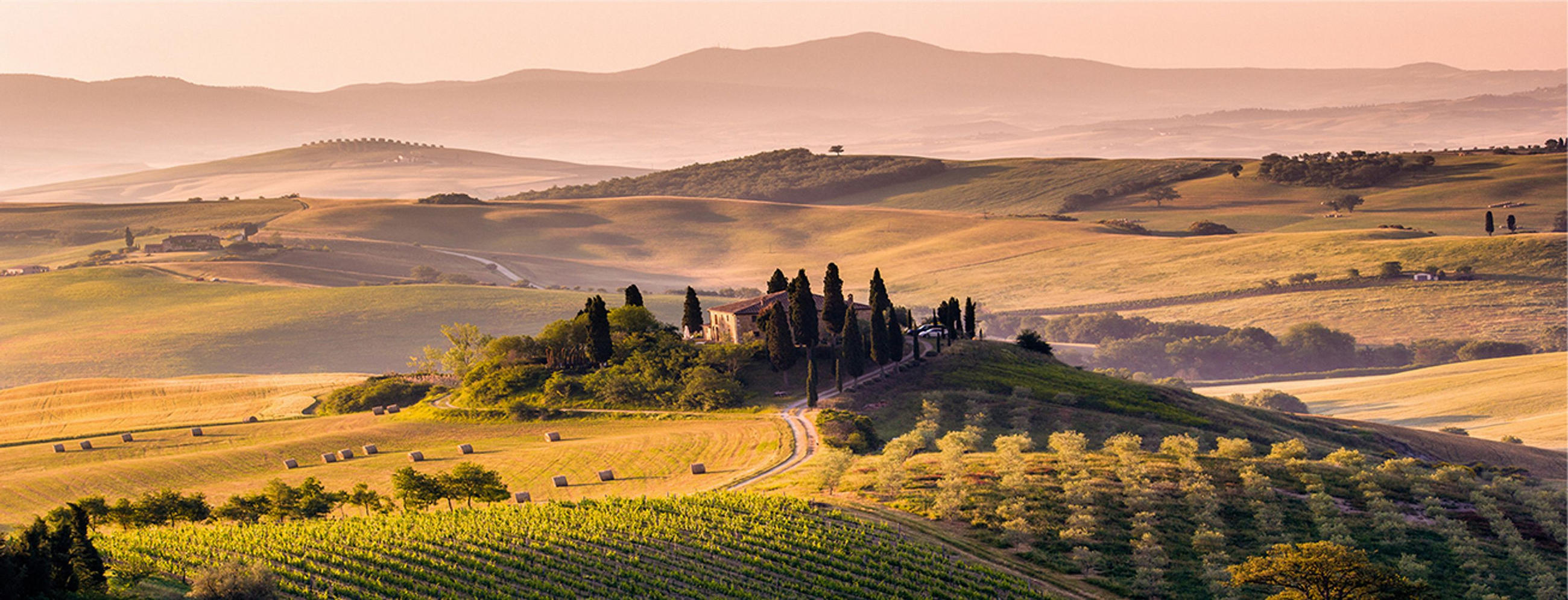 GLASBILD 80x30 cm Toskana Landschaft Italien - Gelb, Glas (80/30cm) - artissimo