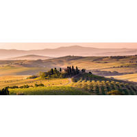 GLASBILD 80x30 cm Toskana Landschaft Italien - Gelb, Glas (80/30cm) - artissimo