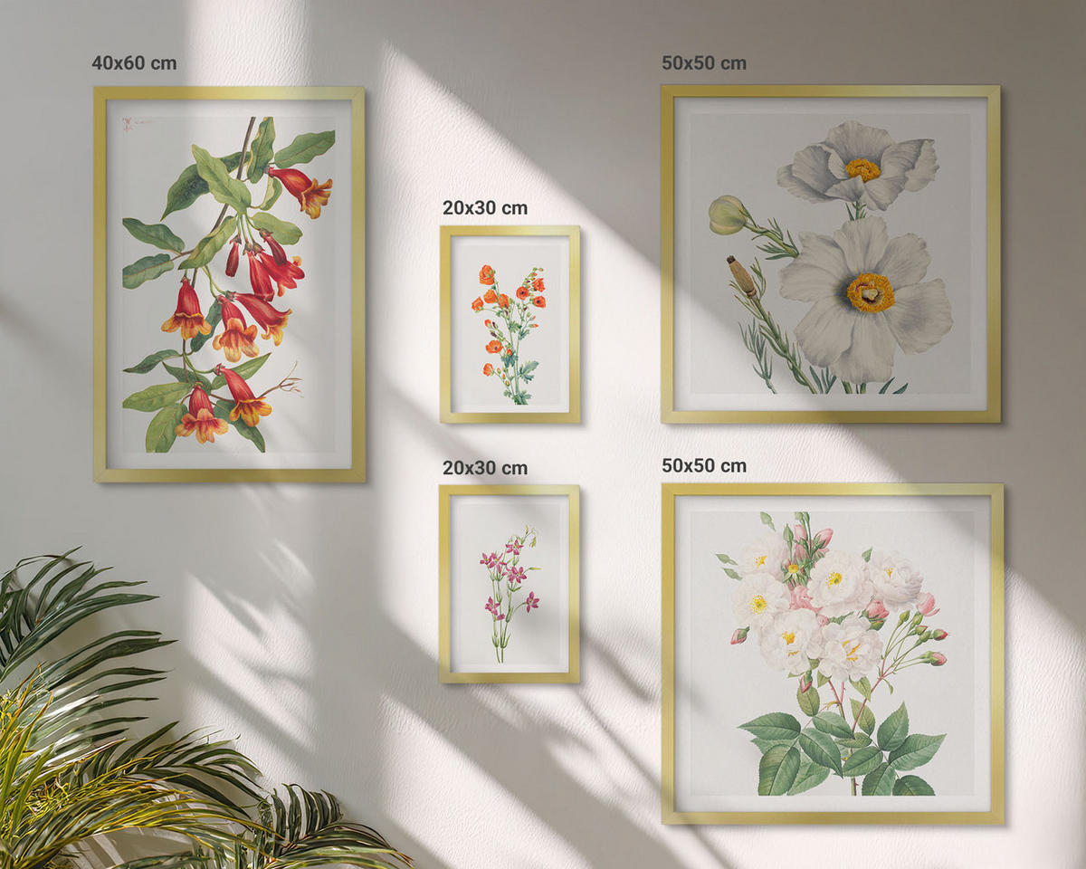 BILDER SET 5er Set - 50x50 cm & 20x30 cm & 40x60 cm Goldrahmen - Blumenmalerei im Retro-Stil - Goldfarben, Kunststoff (40/60cm) - TULUP