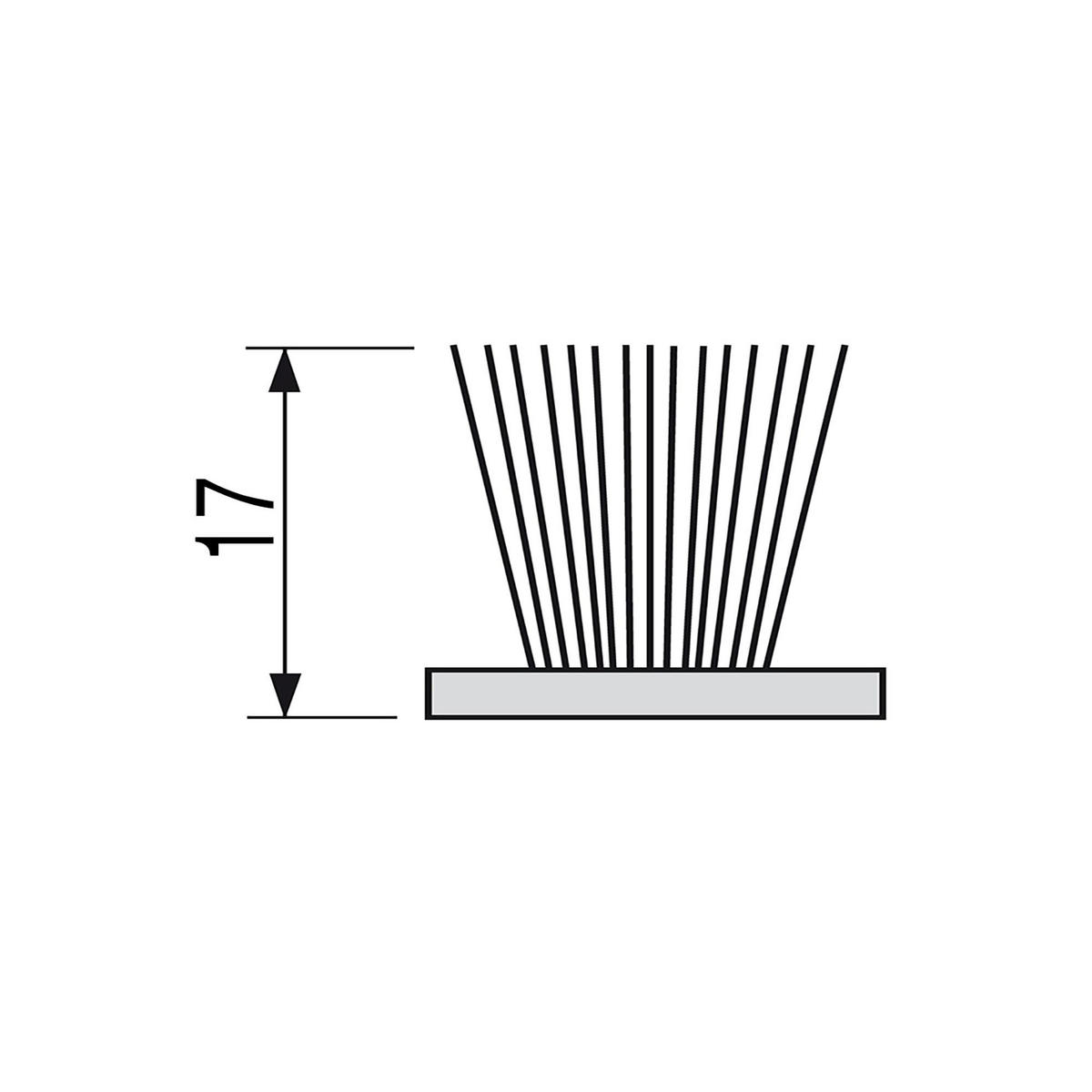 SELBSTKLEBENDER ABDICHTUNGSSTREIFEN mit Bürste, Höhe 17mm, 10-Meter-Rolle, Grau - Grau, Kunststoff (0.71/2/1000cm) - EMUCA