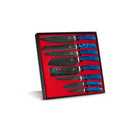 MESSER-SET 8-tlg. mit Edelstahlklingen und ergonomischen Epoxidharz-Griffen - Blau, Holz/Metall - Küchenkompane