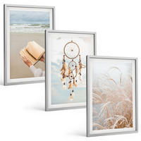 BILDER SET 3er Set - 40x60 cm Silberner Rahmen - Friedliche sommerliche Boho-Landschaften - Silberfarben, Kunststoff (40/60cm) - TULUP