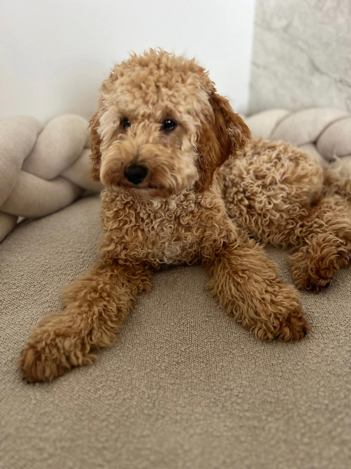 BETTSCHLANGE geflochten Natur Strick - Naturfarben, Textil (17/200cm) - nordic coast company