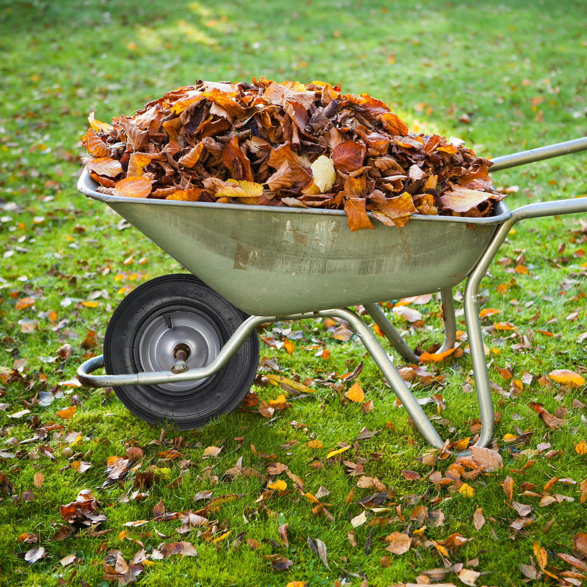 SCHUBKARRENRAD - Schwarz, Kunststoff (40/40/10cm) - Relaxdays