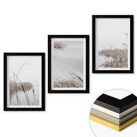 WANDBILDER 3er-Set - 20x30 cm Schwarzer Rahmen - Wasserpflanzen im Sommer - Schwarz, Kunststoff (20/30cm) - ArtPrintCave