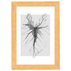 BILDERRAHMEN Ilo Holzrahmen 10x15 cm, H'BRAUN, Blatt - Hellbraun, Holzwerkstoff (12/17/2cm) - walther design