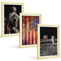 BILDER SET 3er Set - 40x60 cm Goldrahmen - Amerikanische Symbole, USA-Flagge - Goldfarben, Kunststoff (40/60cm) - TULUP