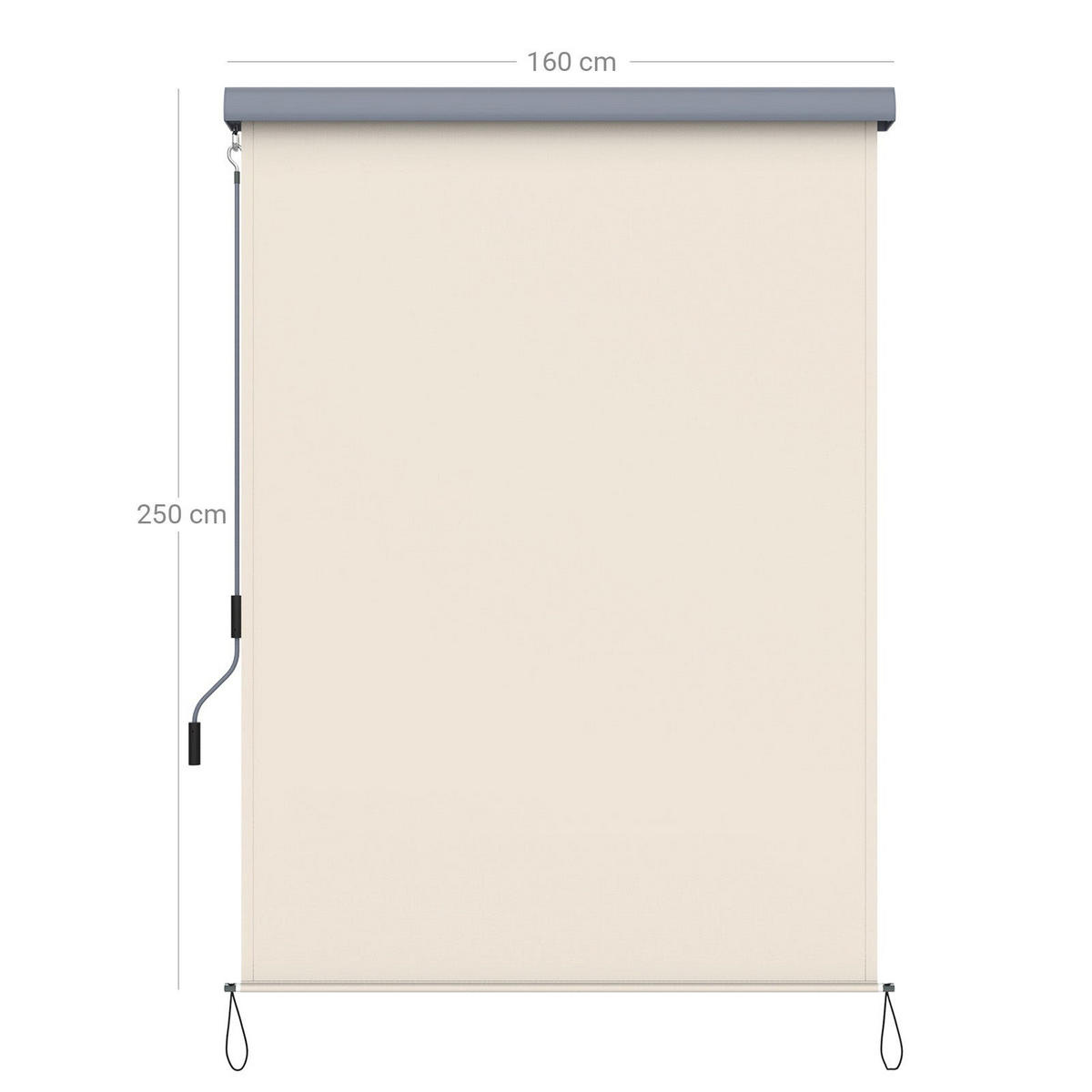 SENKRECHTMARKISE - Beige, Textil (160/8/250cm) - Hansiro