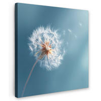 LEINWANDBILD Löwenzahn - Wind - Blau Deko Wohnzimmer 20x20 cm - Blaugrau, Textil (20/20cm) - MuchoWow