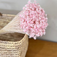 TROCKENBLUMEN Glixia Bund in Rosa - Rosa, Naturmaterialien (50cm) - Lykke & You
