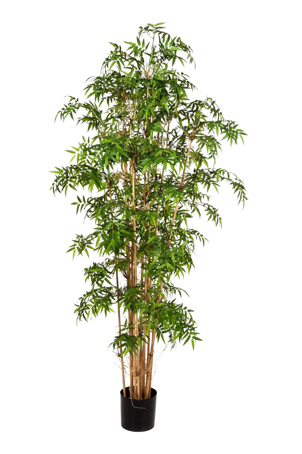 KUNSTBAUM Künstlicher Bambus - Lucia 110 cm - Grün, Kunststoff (110cm) - aplanta