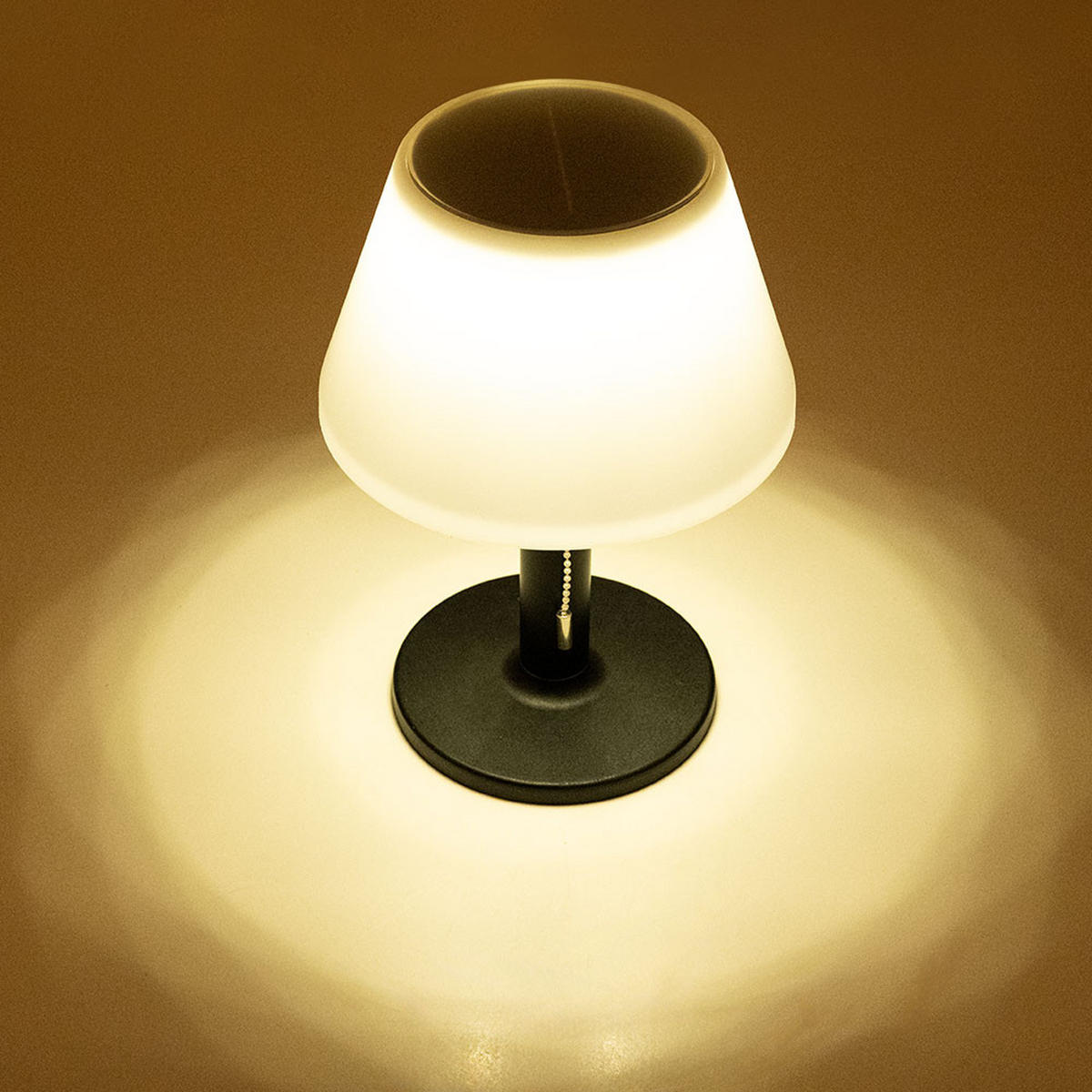 LED AUSSENLEUCHTE Solar Schwarz Weiß - Schwarz, Metall (20/20/28cm)