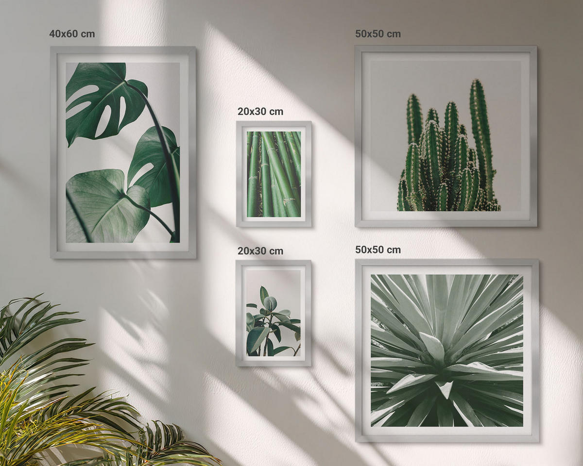 WANDBILDER 5er Set - 50x50 cm & 20x30 cm & 40x60 cm Silberner Rahmen - Bambusblätter - Silberfarben, Kunststoff (40/60cm) - ArtPrintCave