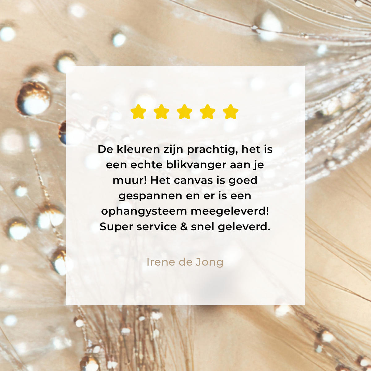 OBRAZ NA PLÁTNĚ Pampeliška - Abstraktní - Příroda - Béžová 60x80 cm - hnědá, textil (60/80cm) - MuchoWow