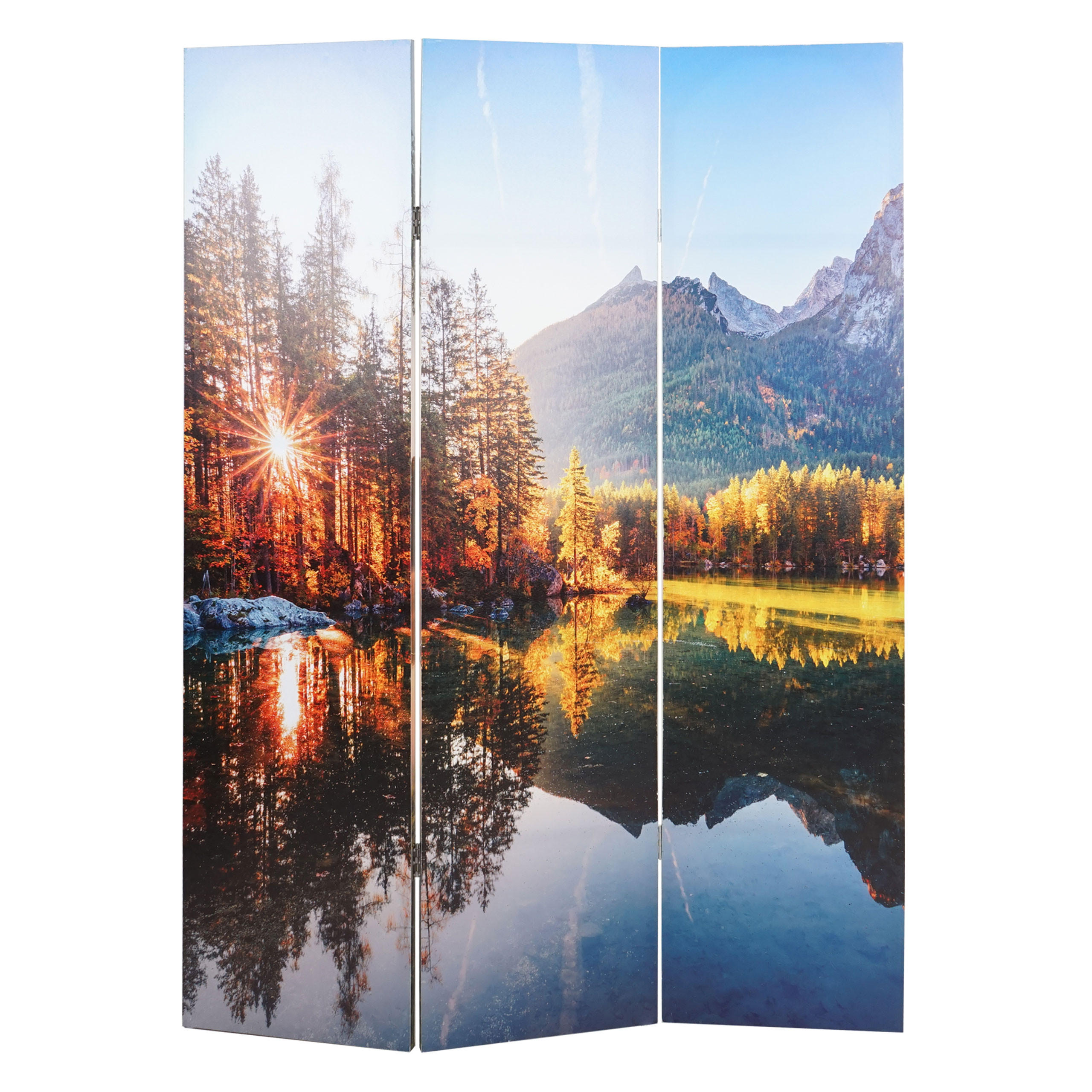 FOTO-PARAVENT MIT SCHALLSCHUTZ Multicolor - Multicolor, Textil (122/180/2cm) - MCW