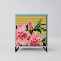 SIDEBOARD FRAGILE BEAUTY, Grau, 57,5x42x67,5 cm, Schwarze Metall-Rahmenfüße - Multicolor/Schwarz, Holzwerkstoff/Metall (57.5/67.5/42cm) - SpaceRebels
