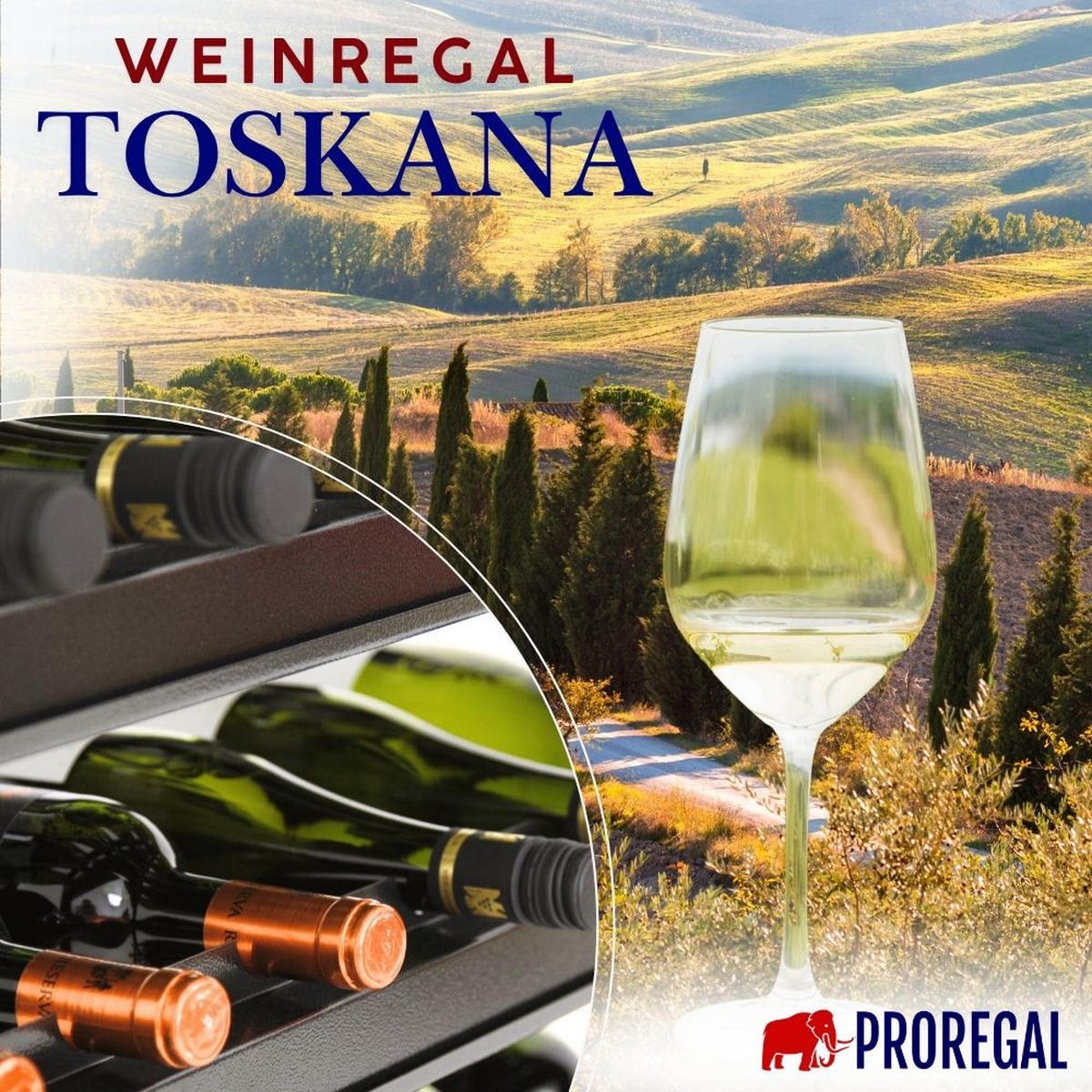 PROREGAL Weinregal TOSKANA 75x60x30 cm 30 Flaschen auf 5 Ebenen Schwarz - Schwarz, Metall (60/75/30cm) - PROREGAL