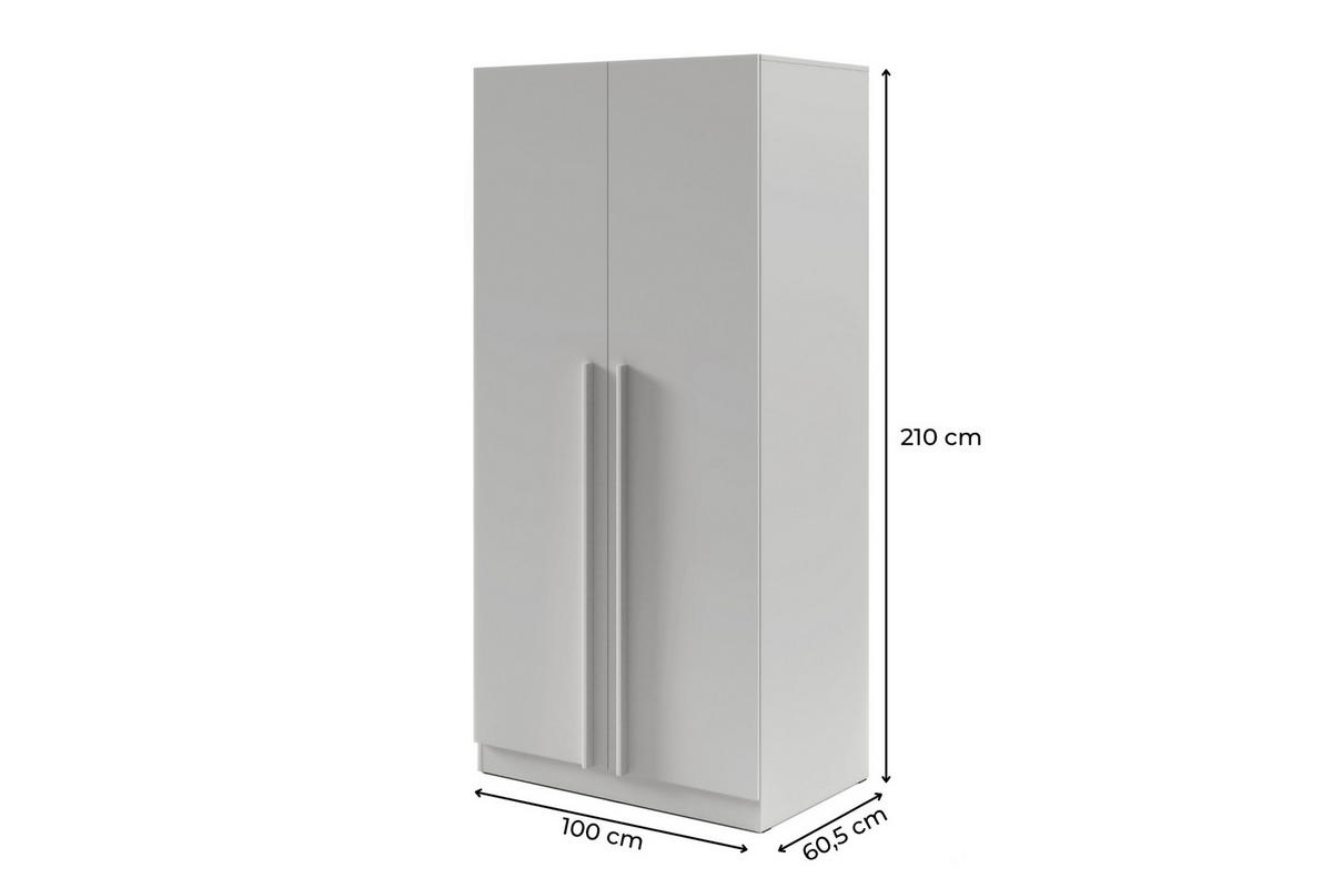 DREHTÜRENSCHRANK BRISSO BR3 100/210/60,5 cm in Platingrau - Grau, Holzwerkstoff (100/210/61cm) - Deine Möbel 24