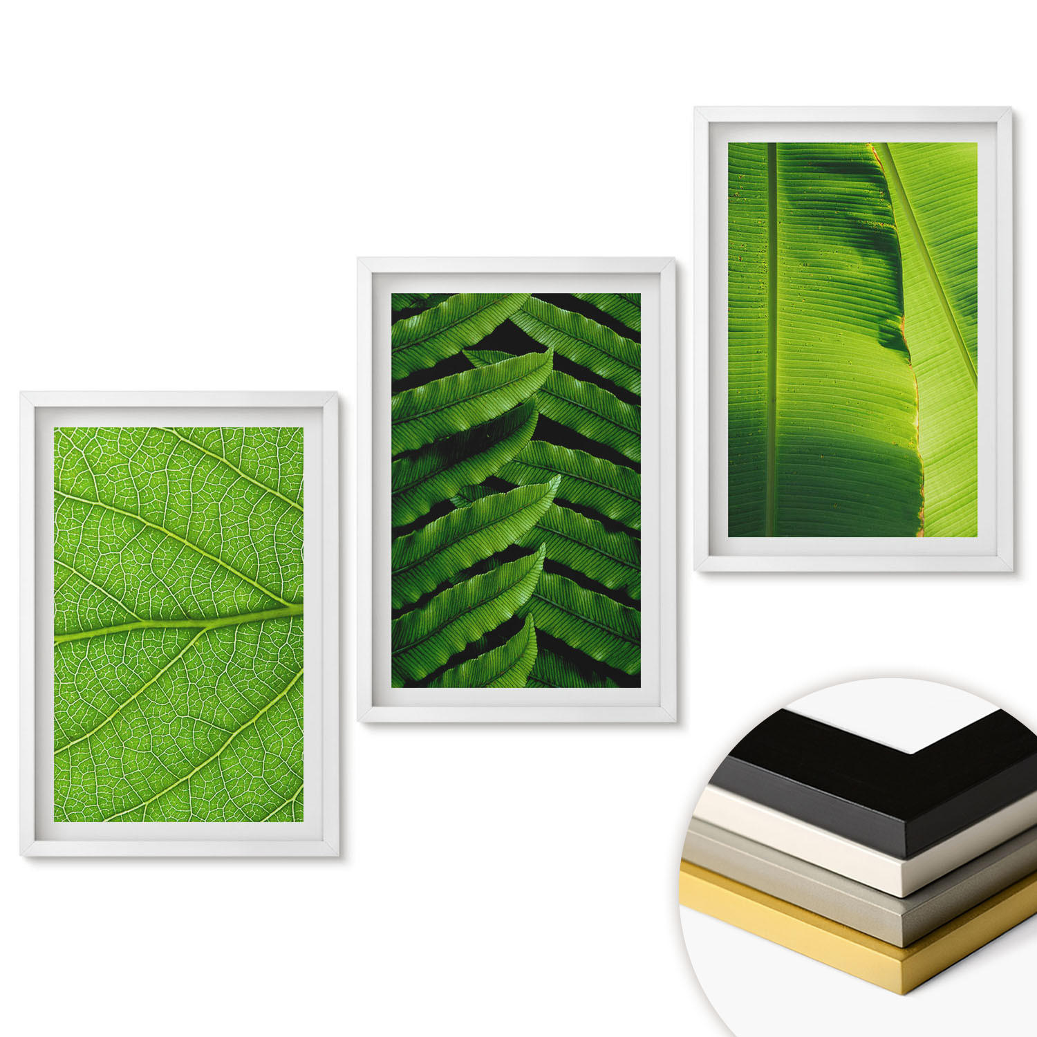 ArtPrintCave Wandbilder Weiß 40x60 cm