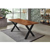 ESSTISCH FREDERIK - Schwarz/Braun, Holz/Metall (100/200/77cm) - SAM