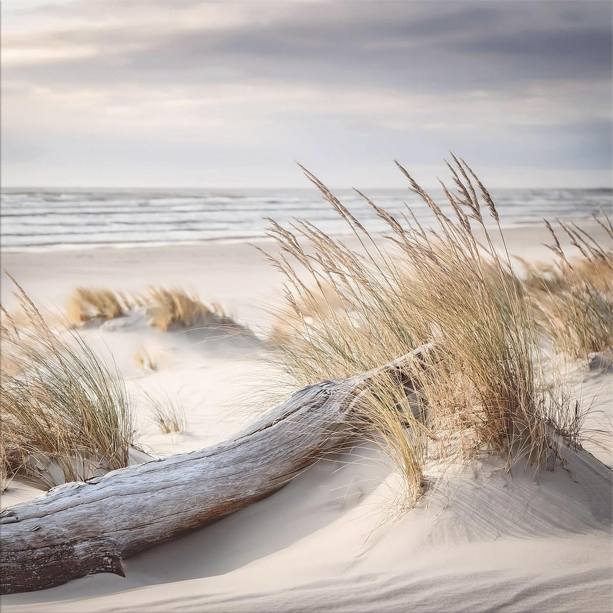 GLASBILD 30×30 cm Strand - Beige, Glas (30/30cm) - artissimo