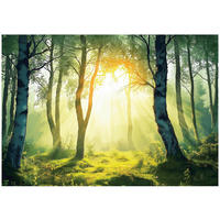 FOTOTAPETE 3D Effekt Wald Natur Wohnzimmer 350x250 - Multicolor, Papier (350/250cm) - Wallarena