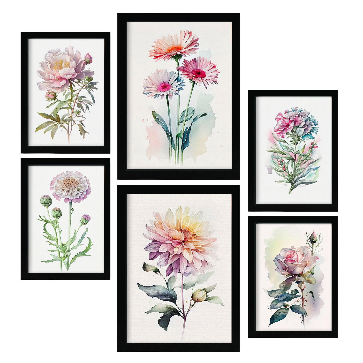 POSTER Set Mit 6 Rosen Vollfarbige Natur Und Botanikdrucke Mit Blumenmotiven Auf Reinweißen Hintergründen Innenarchitektur A3 & A4 Schwarzer Rahmen - Schwarz, Papier (29/3cm) - Nacnic