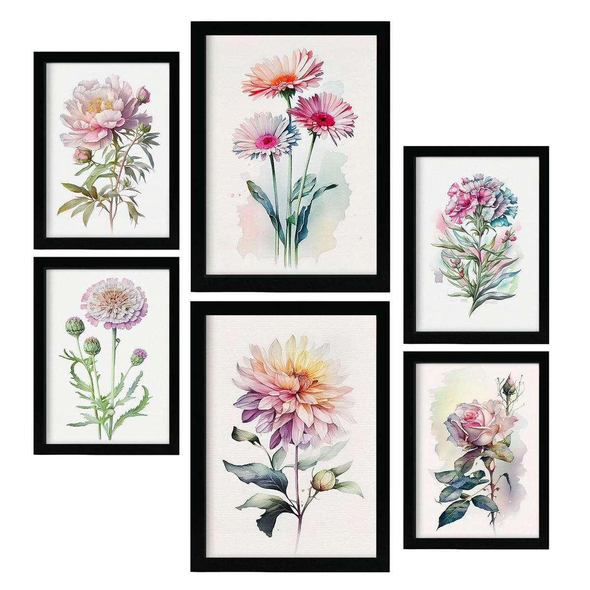 POSTER Set Mit 6 Rosen Vollfarbige Natur Und Botanikdrucke Mit Blumenmotiven Auf Reinweißen Hintergründen Innenarchitektur A3 & A4 Schwarzer Rahmen - Schwarz, Papier (29/3cm) - Nacnic