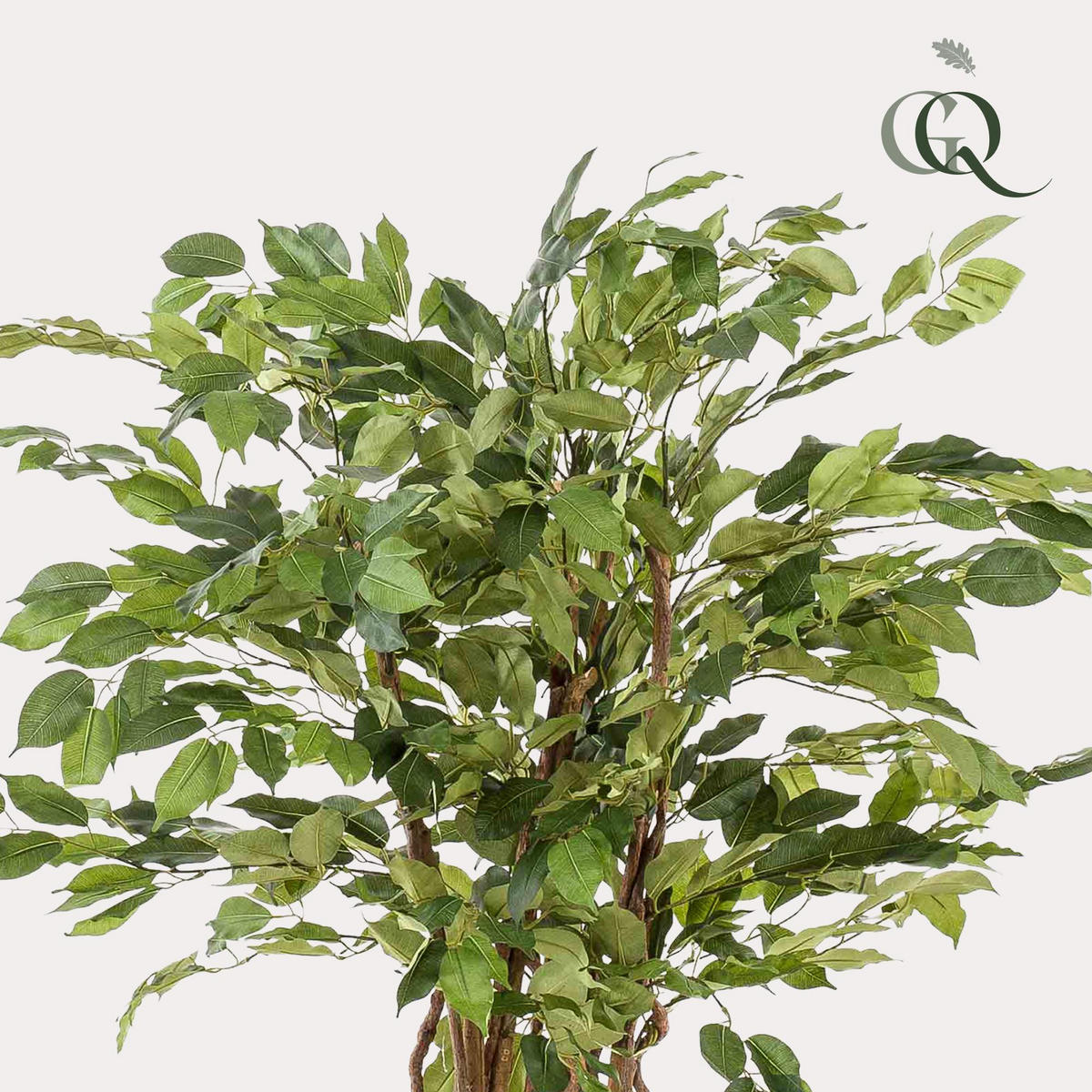 KUNSTPFLANZE Ficus Liana Geigenblattpflanze 140cm - Grün, Kunststoff (140cm) - Green boutiQ