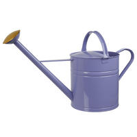 GIESSKANNE Zinc 8L - Violett, Metall (23/35/65cm) - Butlers