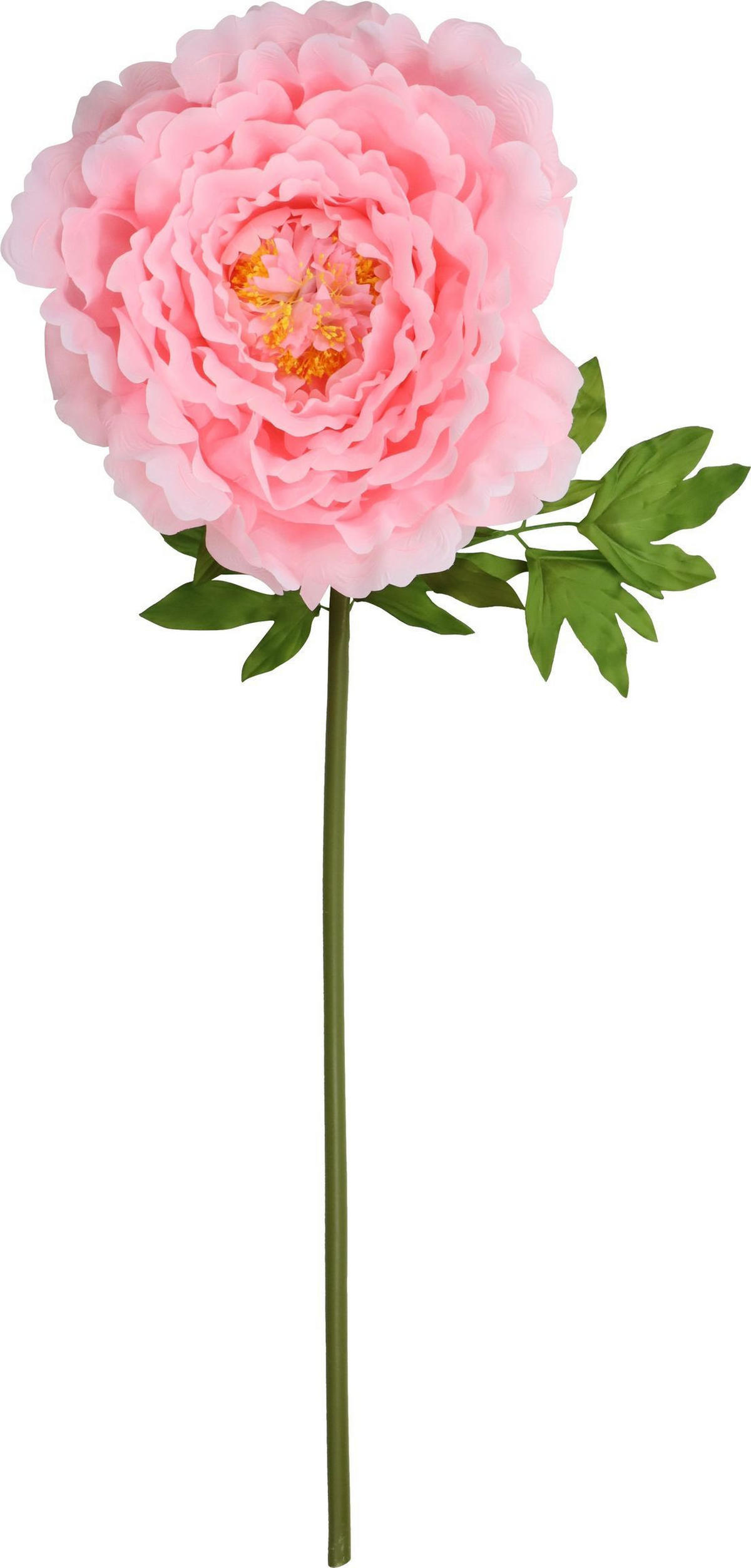 RIESENBLUME Zierrose rosa - Rosa, Kunststoff (130cm) - FURNARO