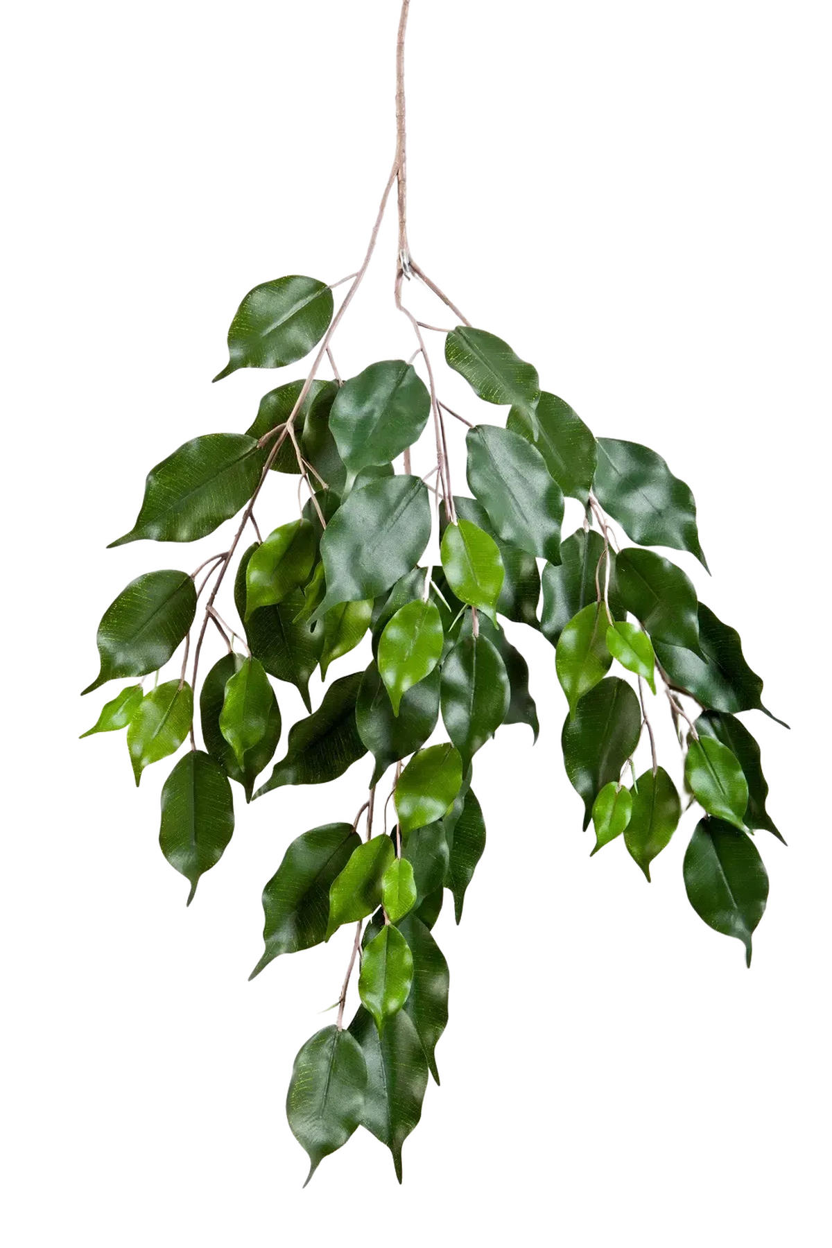 FEIGEN Künstlicher Ficus-Zweig - Georgia - Grün, Kunststoff (1cm) - aplanta