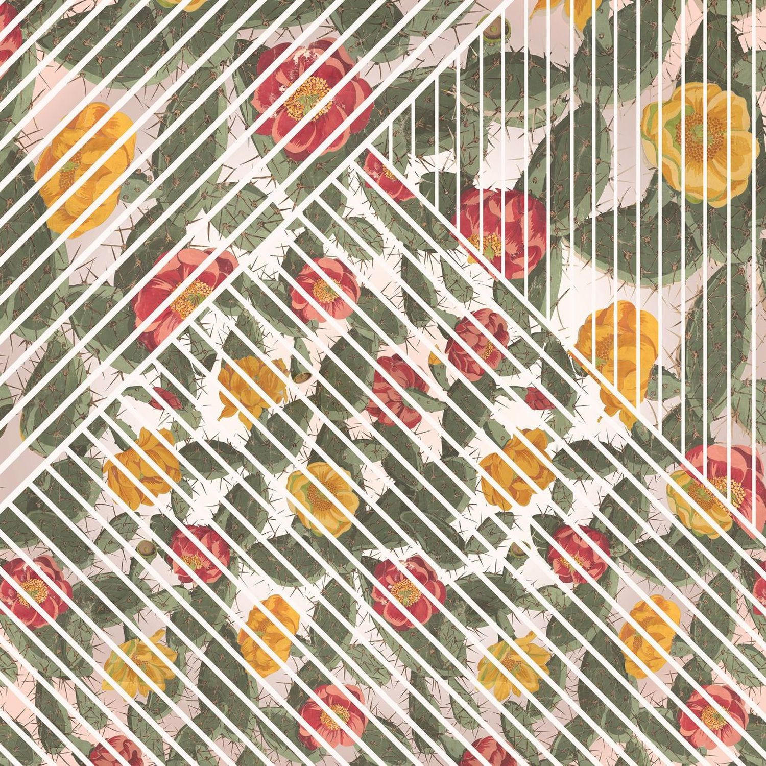 FOTOTAPETE Pflanzen 300 x 280 cm - Multicolor, Papier (300/280cm) - Sanders & Sanders