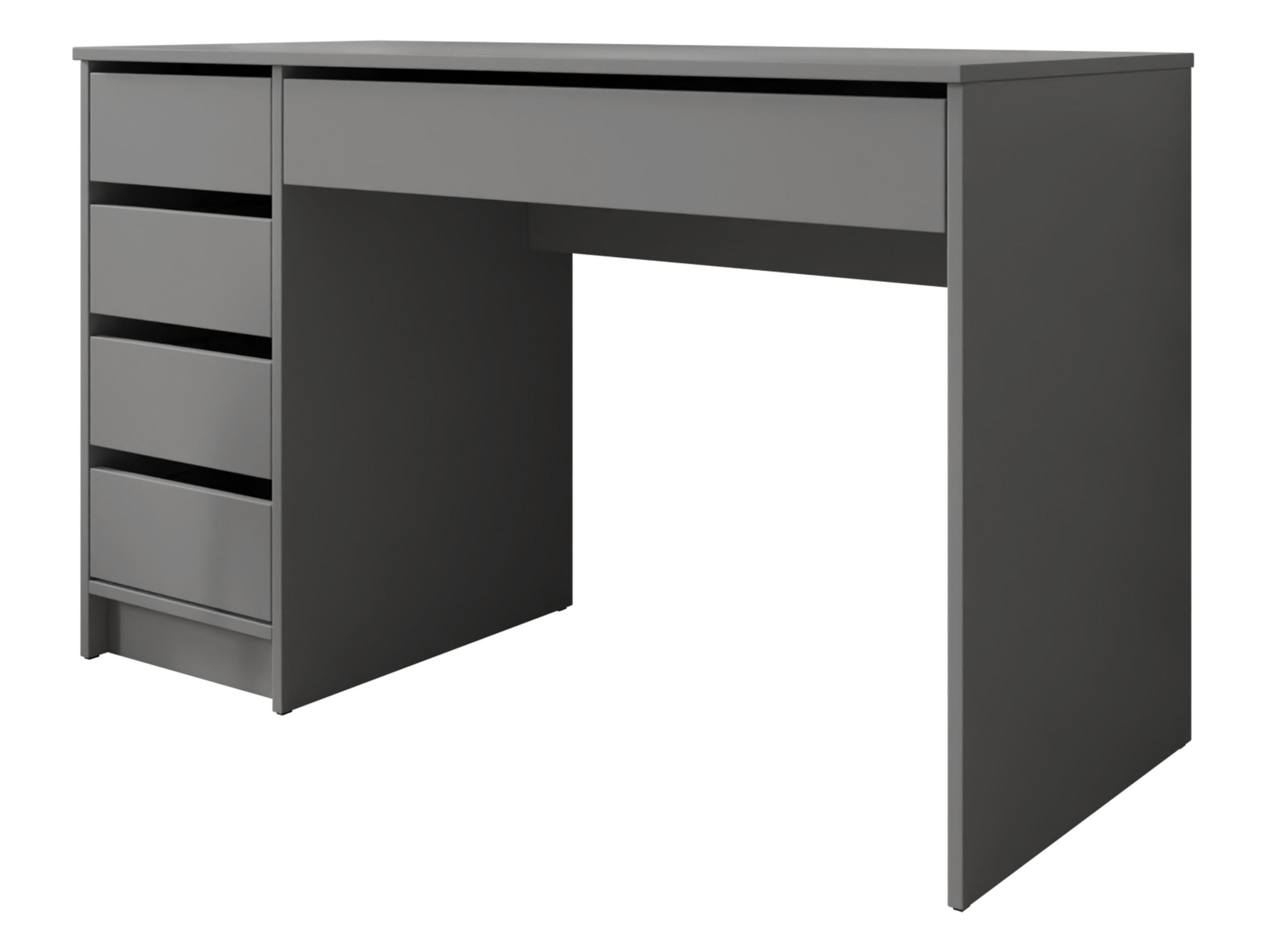 SCHREIBTISCH Ada - Anthrazit, Holzwerkstoff (55/120/76cm) - MIRJAN24