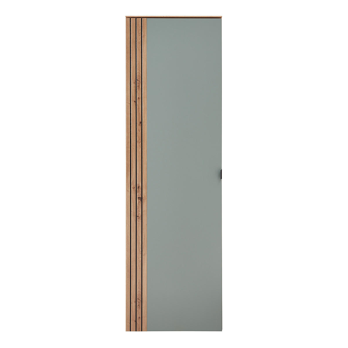 HÄNGE-GARDEROBENSCHRANK - Schwarz/Mintgrün, Holzwerkstoff/Metall (55/179/37cm) - home24