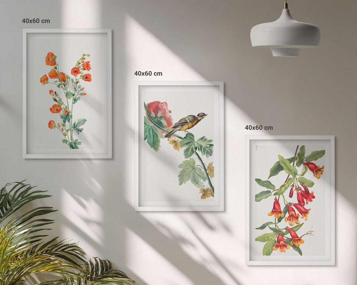 WANDBILDER 3er-Set - 40x60 cm Weißer Rahmen - Gemalte Blumen und ein Vogel - Weiß, Kunststoff (40/60cm) - ArtPrintCave