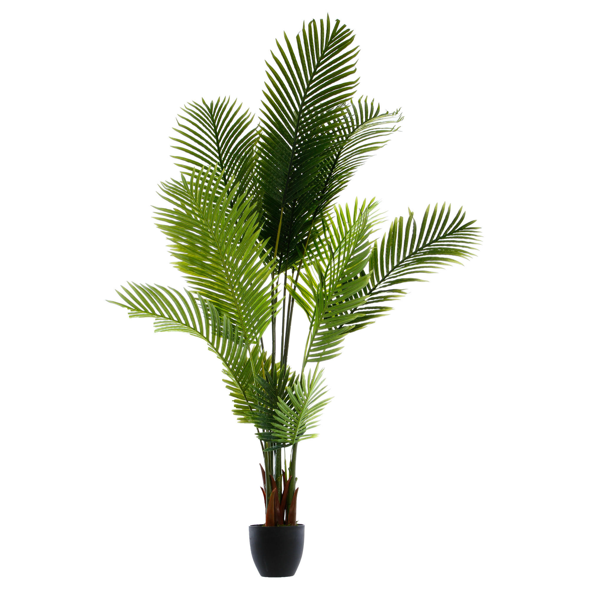 PALME im Topf 114/105/170 cm - Schwarz, Kunststoff (170cm) - Atmosphera Createur d´interieur