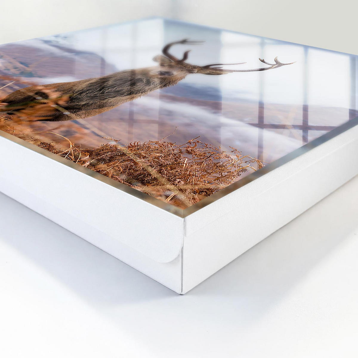 SCHLÜSSELBOX Weiß 30x30 cm – Türöffnung nach rechts - Berghirsche - Braun, Metall (30/30/5cm) - TULUP