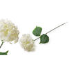 KUNSTBLUME Virdis Hortensia Weiß 73/73/73 cm Kunstoff - Weiß, Kunststoff (73cm) - Mondex