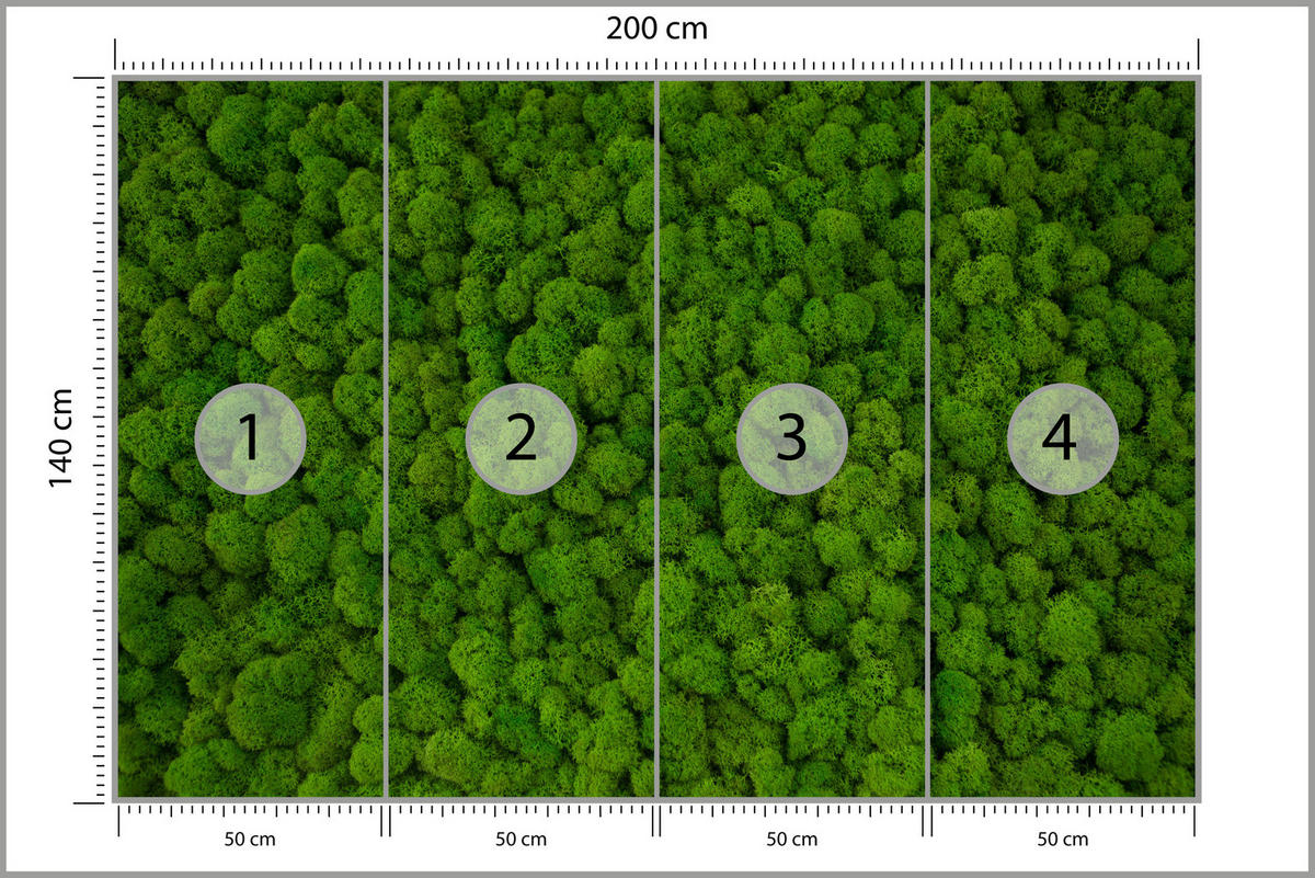 FOTOTAPETE für Jugendzimmer Dekorativer Grüner Moos Modern 200x140 - Grün, Papier (200/140cm) - Muralo