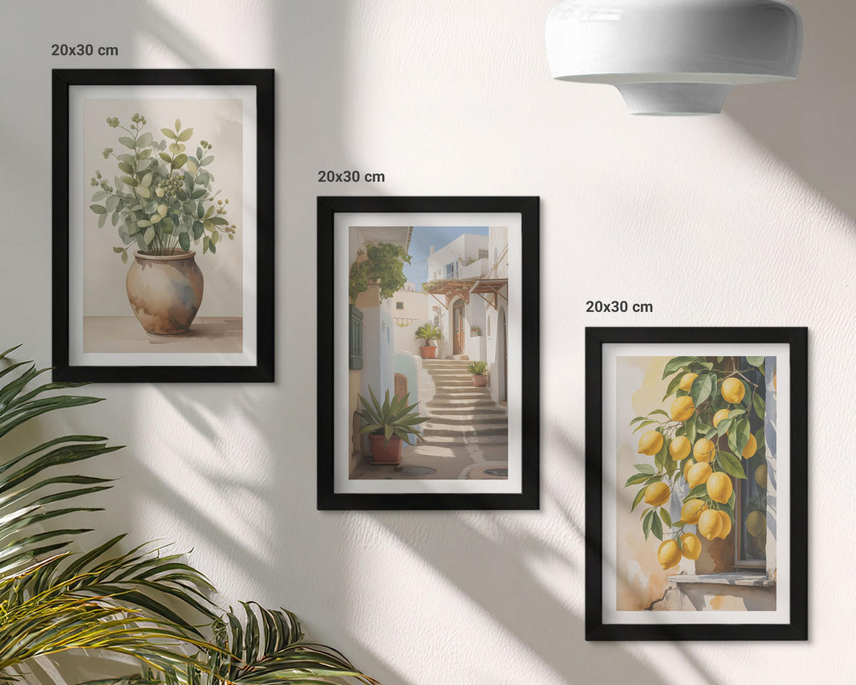 WANDBILDER 3er-Set - 20x30 cm Schwarzer Rahmen - Zitronenblumen im Topf, Straßen - Schwarz, Kunststoff (20/30cm) - ArtPrintCave