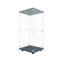 VITRINE - Glasvitrine mit 1 Tür und 2 Ebenen - integrierte LED-Spot-Beleuchtung - Schwarze Decken- und Bodenplatte - Schwarz, Glas (40.35/86.2/36.5cm) - DELFA