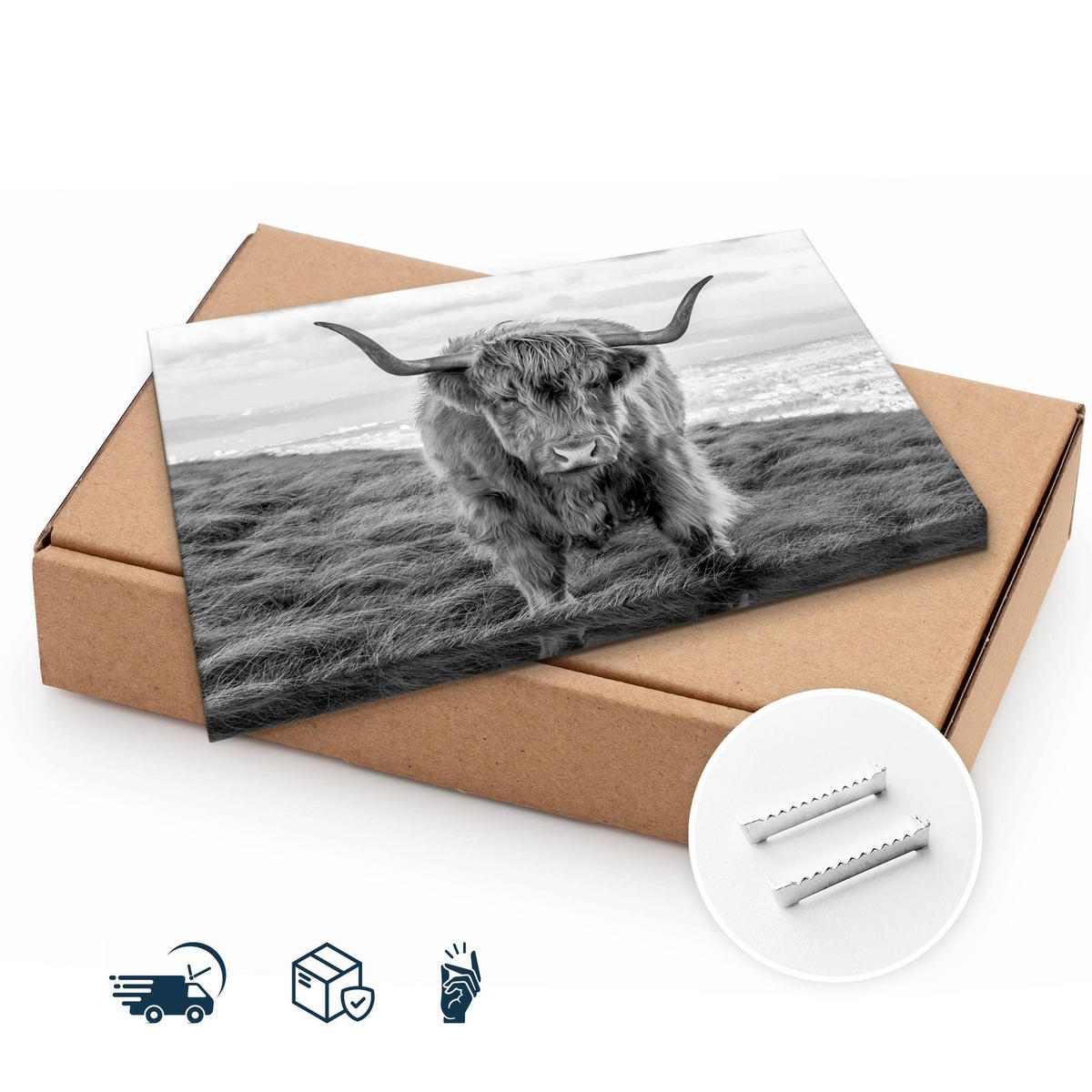 LEINWANDBILD Schwarz-weiß Schottische Kuh Tier Landschaft 3D 30/20 cm - Schwarz/Weiß, Textil (30/20cm) - Muralo