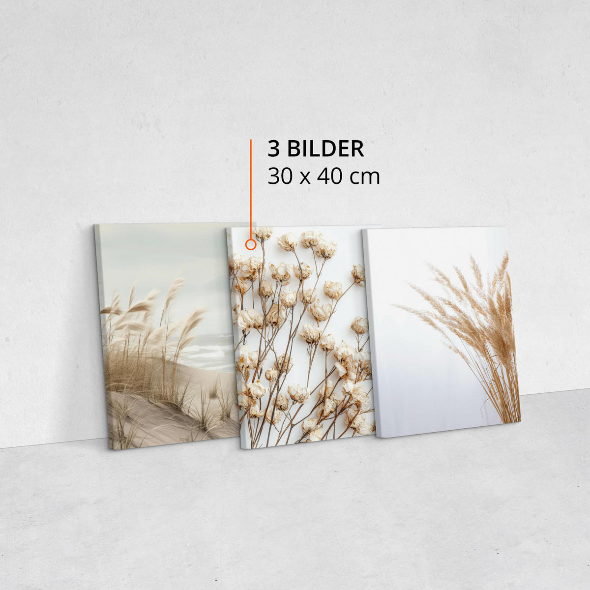LEINWANDBILDER 3-es Set Pflanzen Strand - Blau/Beige, Textil (90/40cm) - Muralo