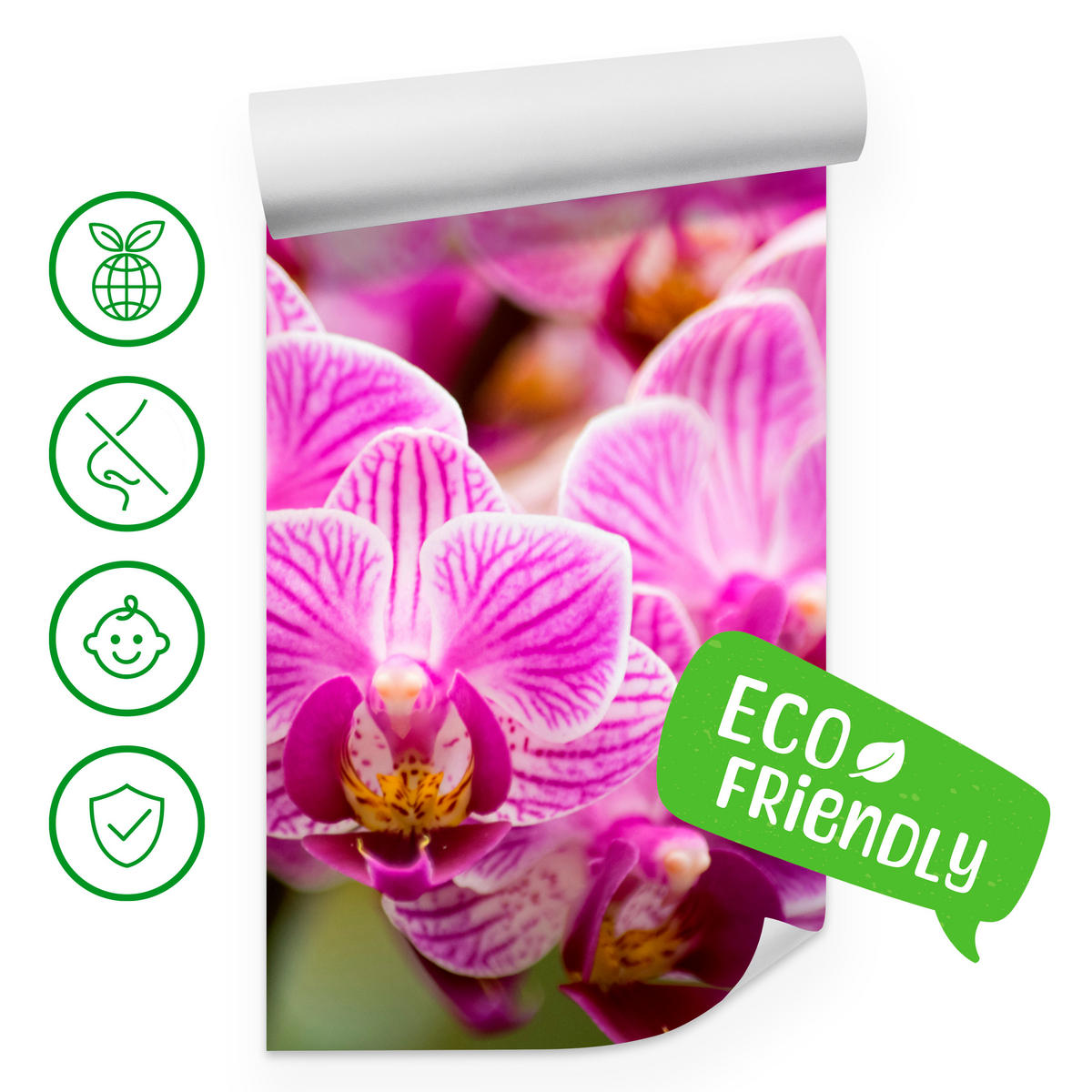 FOTOTAPETA Pre Obývaciu Izbu Kytica Fialových Orchideí 450 x 315 cm - zelená/ružová, papier (450/315cm) - Muralo