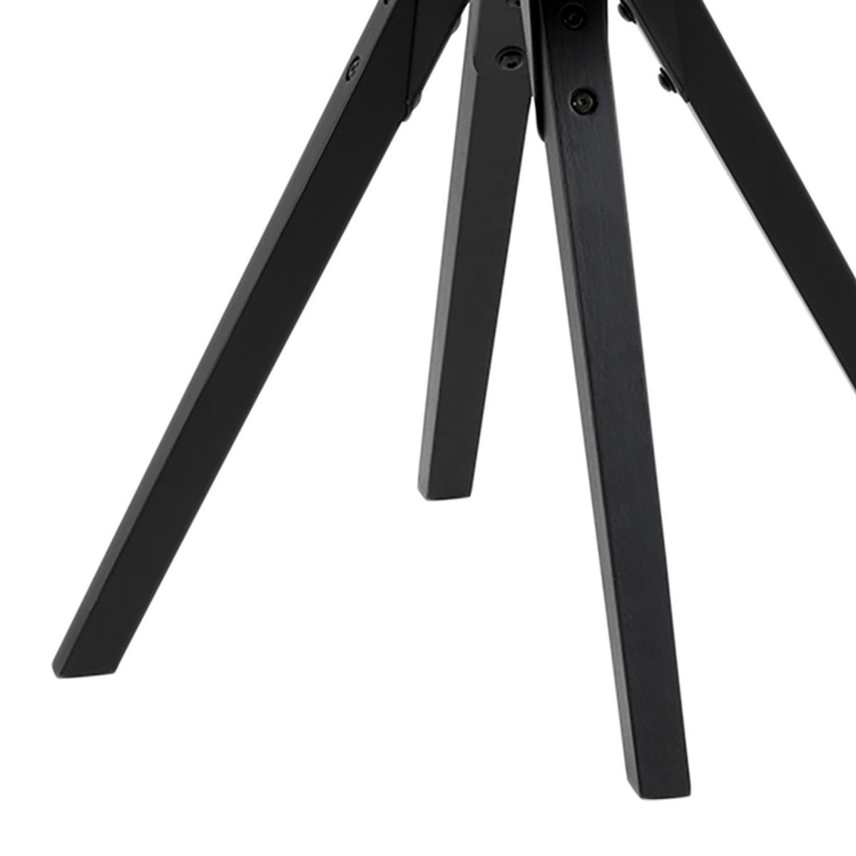 ESSZIMMERSTUHL - Schwarz, Holz/Kunststoff (49/85/55cm) - home24
