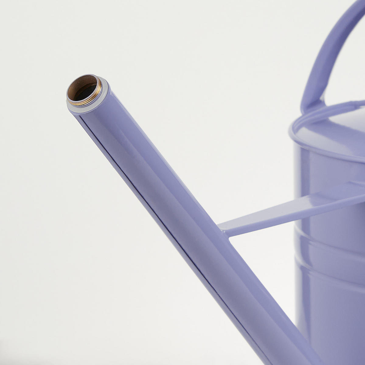 GIESSKANNE Zinc 8L - Violett, Metall (23/35/65cm) - Butlers