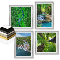 WANDBILDER 4er Set - 50x50 cm & 40x60 cm Silberner Rahmen - Wasserfälle grüner Wald Wasser - Silberfarben, Kunststoff (50/50cm) - ArtPrintCave