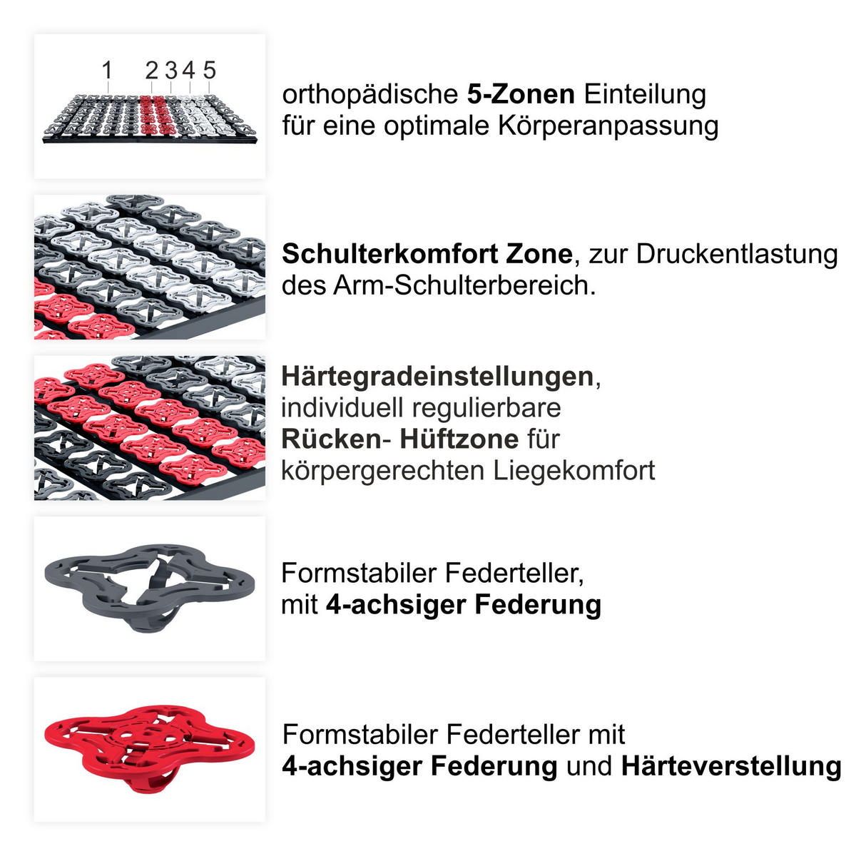 TELLER-LATTENROST Starr TerraMed T-Flex 140x200 cm 12,5 cm Hoch 5-Zonen - Anthrazit/Schwarz, Holz (140/200cm) - Matratzen Perfekt