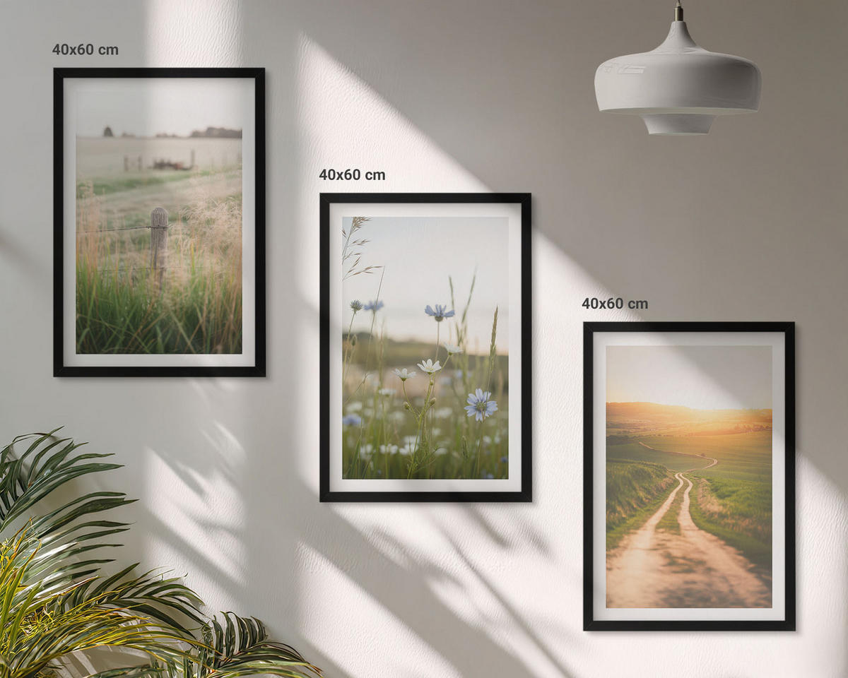 BILDER SET 3er Set - 40x60 cm Schwarzer Rahmen - Landschaften Natur Felder Weg - Schwarz, Kunststoff (40/60cm) - TULUP